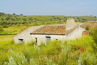 DSC02207