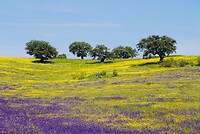 DSC02260