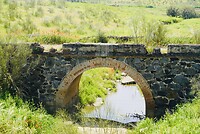 DSC02258