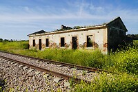 DSC02251