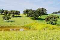DSC02247