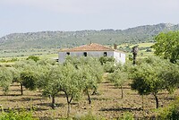 DSC02284