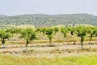 DSC02283