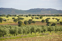 DSC02272