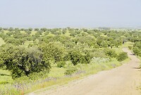 DSC02277