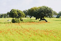 DSC02280