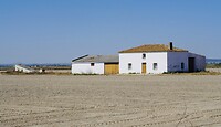 DSC02422