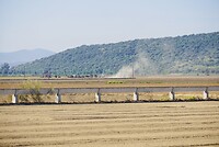DSC02420
