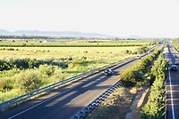 DSC02434