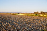 DSC02431
