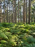 20200808_092058