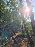 20200808_091507