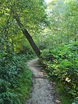 20200808_091258