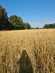 20200808_084206