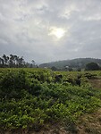 20250830_085618