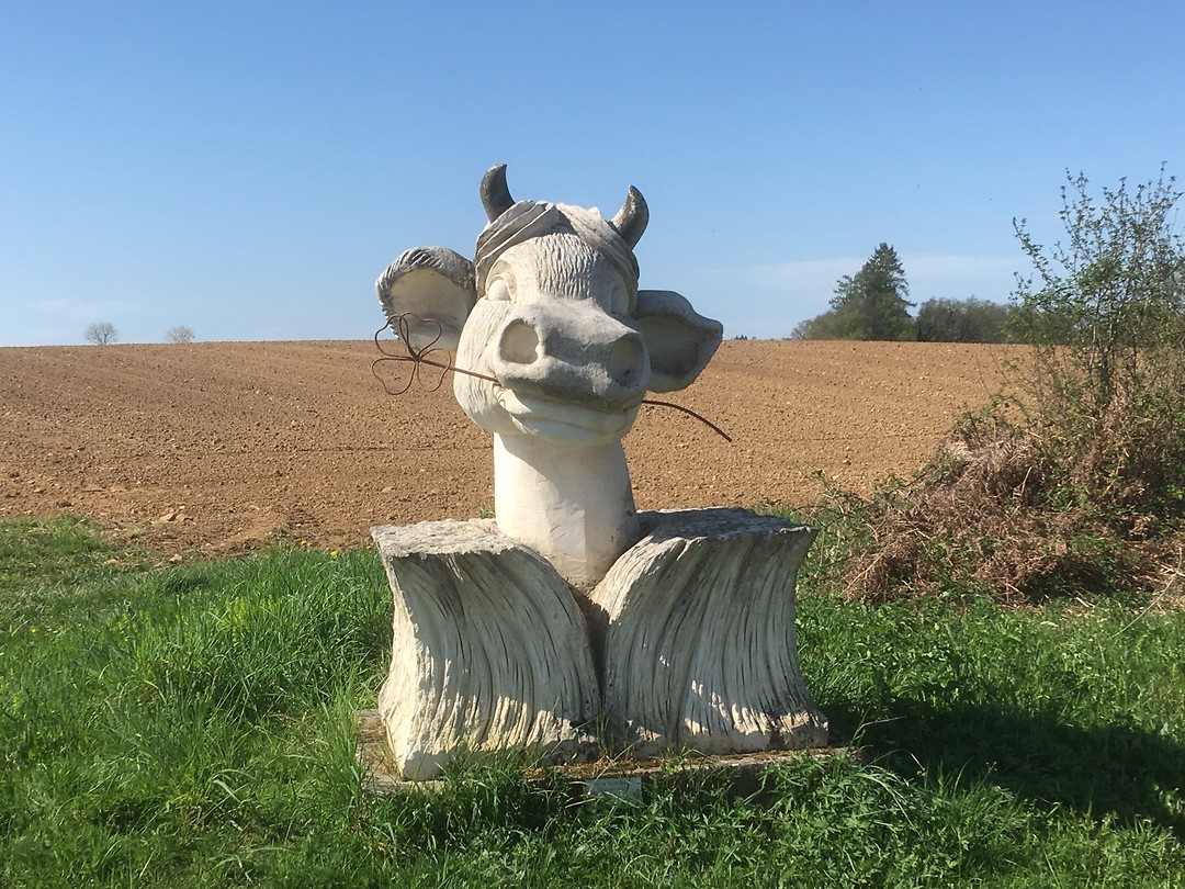 De Limousin
