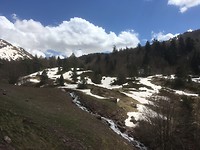 Sneeuw