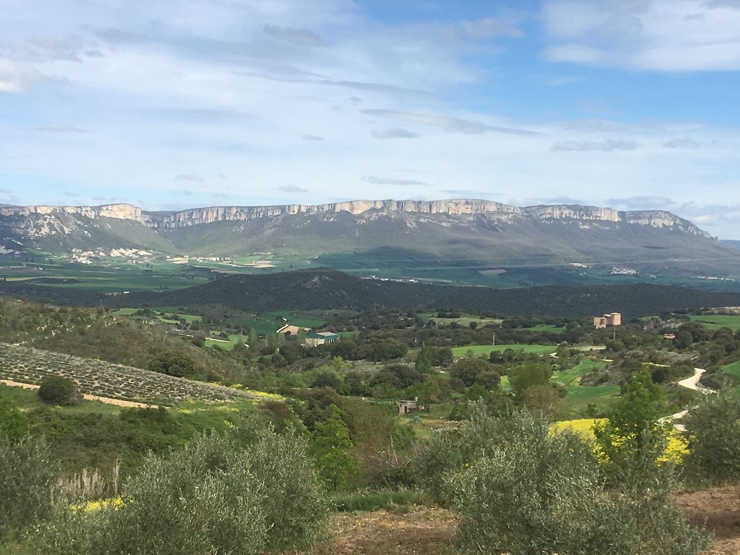 Panorama