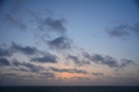 DSC_7861