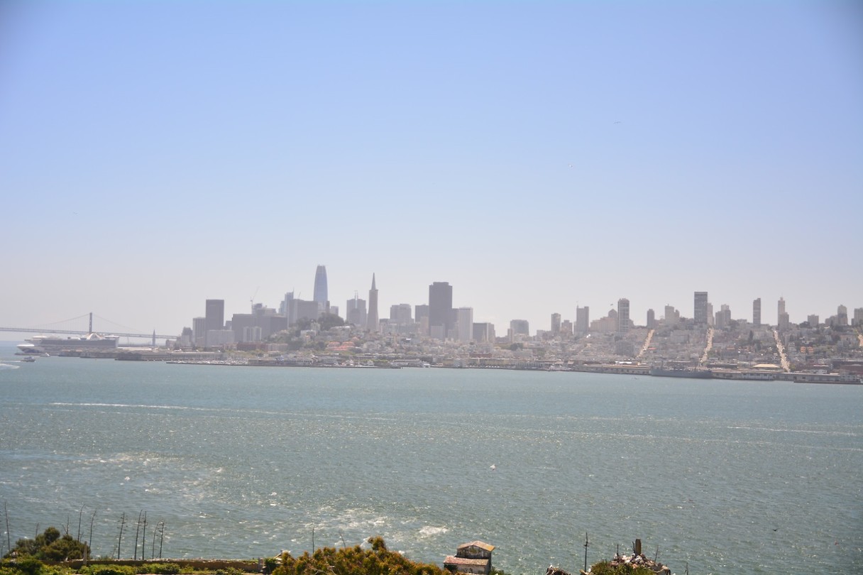 DSC_7943