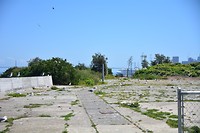 DSC_7972