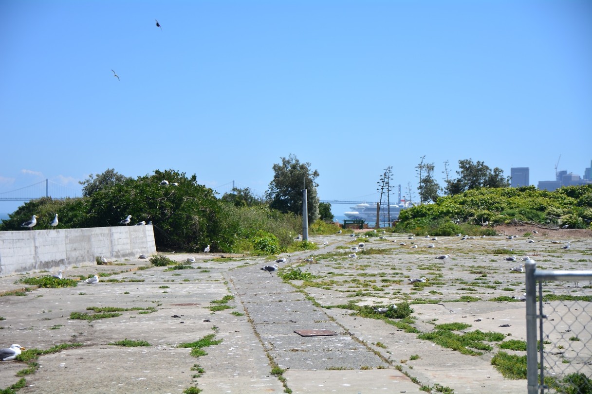 DSC_7972