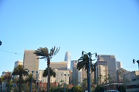 DSC_8054