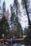 IMG_1409 - Copy