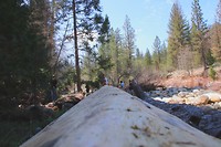 IMG_1412 - Copy