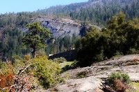 IMG_1424 - Copy