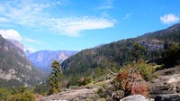 IMG_1425 - Copy