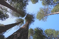 IMG_1572