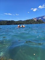 Zwemmen in het prachtige water van het meer van Bled