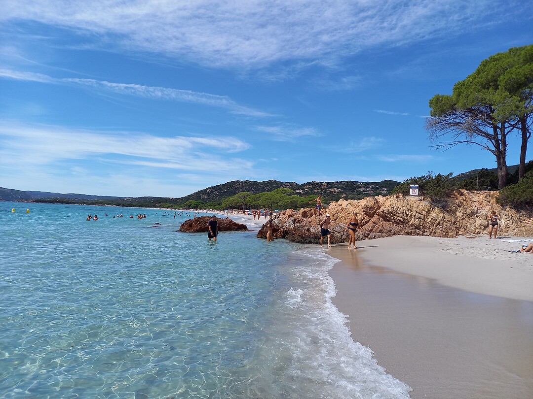 Mooie stranden van palombaggia