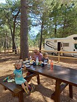 Picknick in het bos