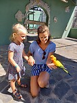 Vogeltjes voeren