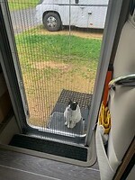 Vriendje op camping