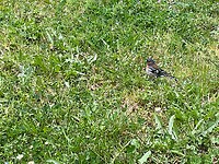 IMG_0139