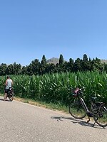 Fietsen naar de markt in Torroella de Montgri
