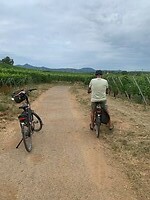 Fietsen door de wijngaarden bij Riquewihr
