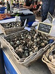 Markt Carpentras