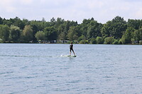 Lev boarden