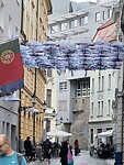 paraplustraatje