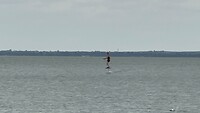 e-foilen