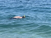 snorkelen