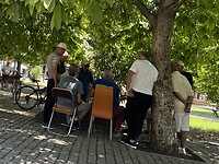 dominoënde oude mannetjes