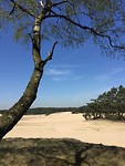 Zandverstuiving Mosselse zand