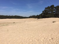 zandverstuiving Mosselse zand