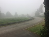 Mist in Eps