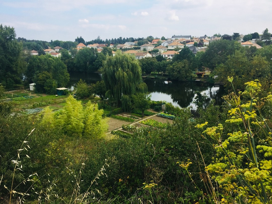 Thouars
